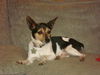 Barty