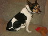 Barty