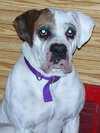 Lucy