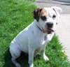Lucy