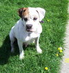 Lucy