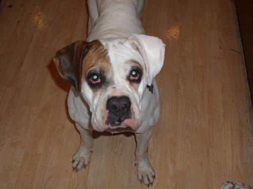 Lucy
