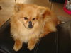 Annie