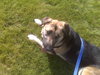 Riley