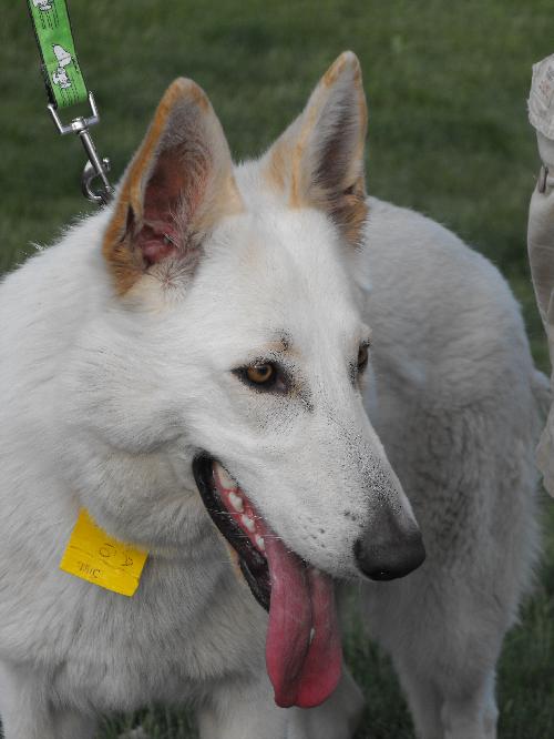 Bella