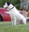 Roscoe