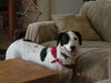 Roscoe