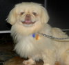 Lola