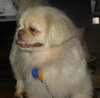 Lola