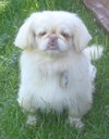 Lola