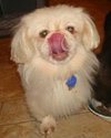 Lola