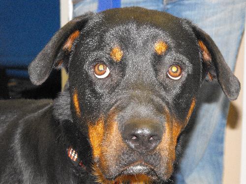 Athena