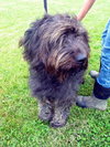 Linus
