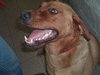 Tucker