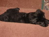Ruthie