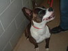 Roxy