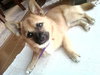 Cubby