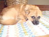Cubby