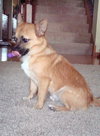Cubby