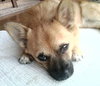Cubby