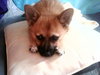 Cubby