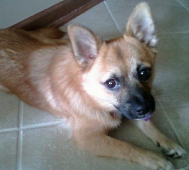 Cubby