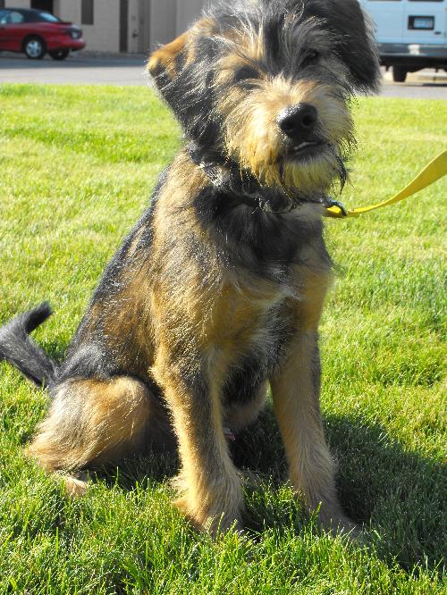 Dewey