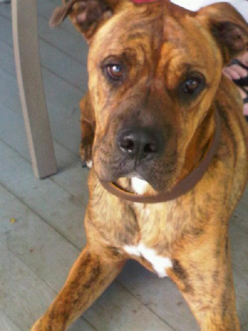 Tyson