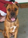 Tyson