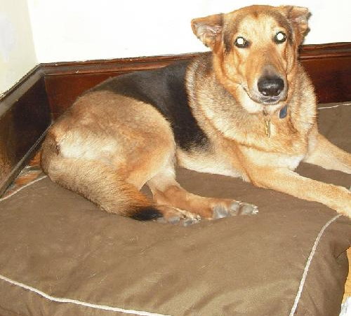 Max