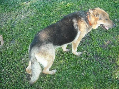 Rocky - URGENT I NEED YOUR HELP!