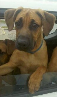 Asher