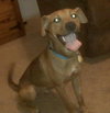 Hutch