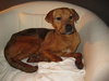 Hutch