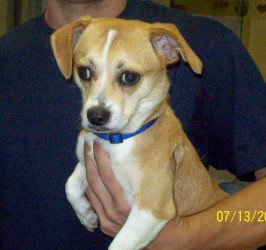 Rigby