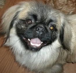 Keiko