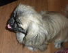 Keiko