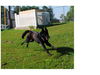 Captain (Remington)