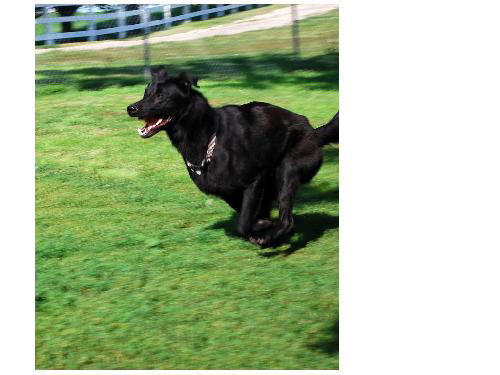 Captain (Remington)
