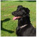 Captain (Remington)