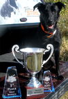 Captain (Remington)