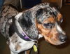 Ezzie