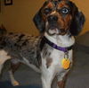 Ezzie