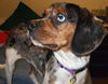 Ezzie