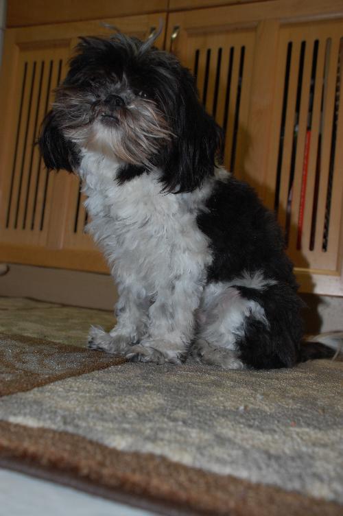 Charlie