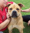 Tyson