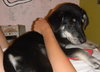 Misha - Will you love me???