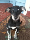 Misha - Will you love me???