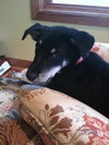 Misha - Will you love me???