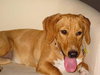 Maxine